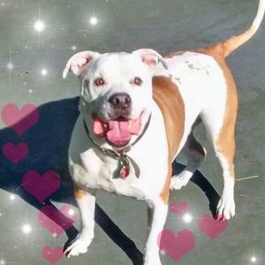 Meet your Posher, Gloria